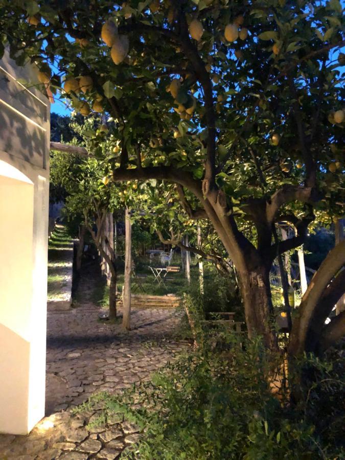 Casa Flora Acomodação com café da manhã Vietri Exterior foto
