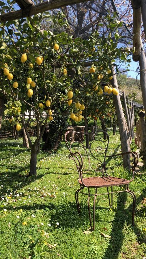 Casa Flora Acomodação com café da manhã Vietri Exterior foto